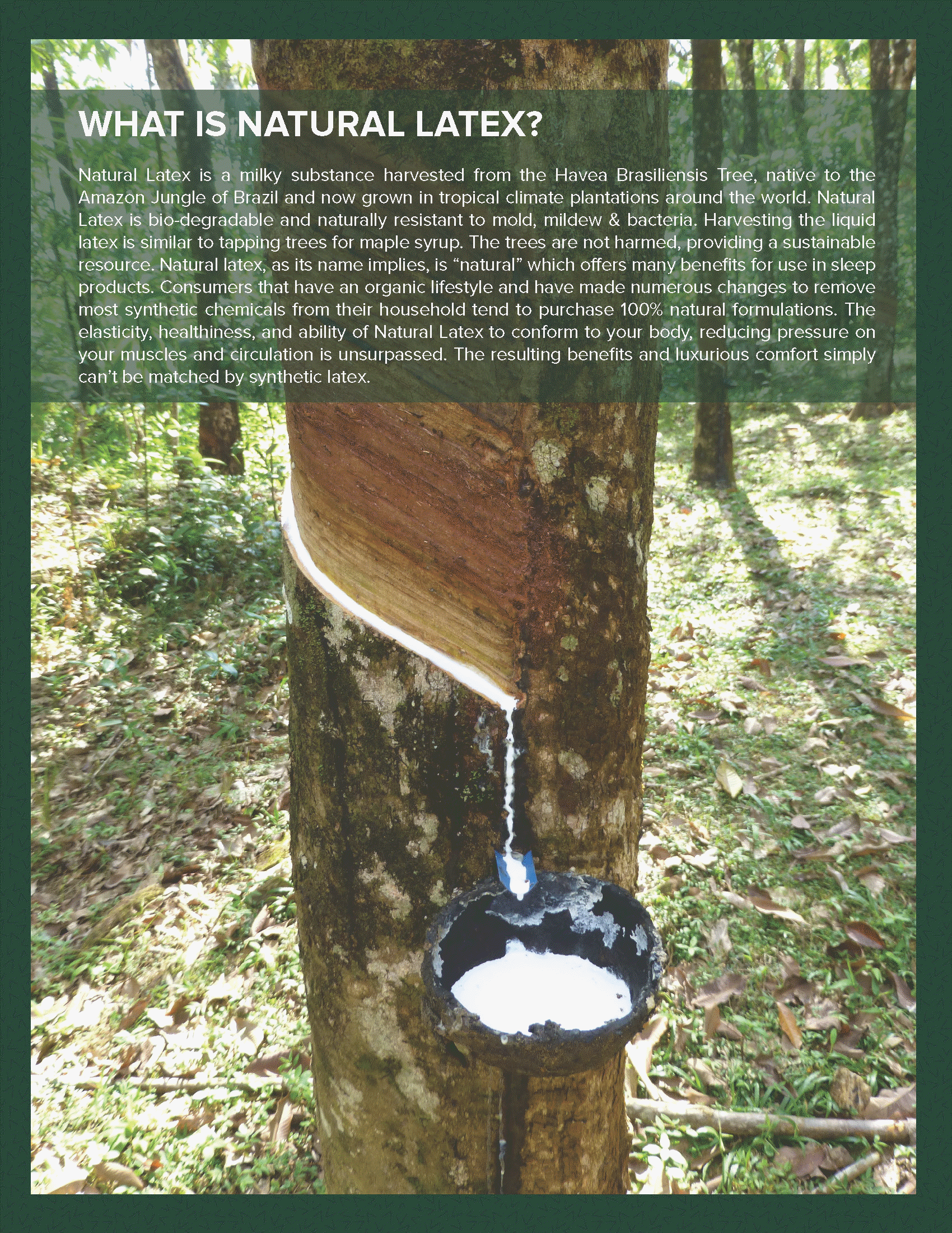 Poway adjustable hospital bed mattresses